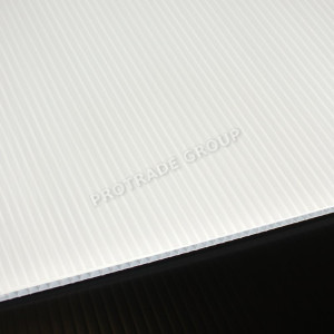 Corriboard Signage Grade 2440 x 1220mm 900GSM 5mm Sheet